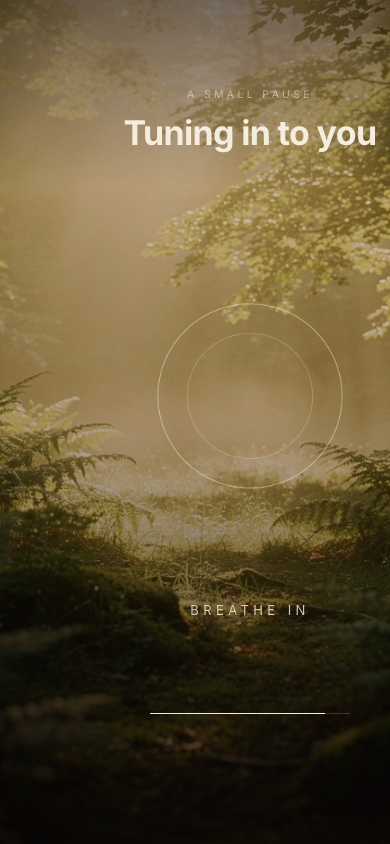 The attuning screen: Tuning in to you, a breathing circle in morning forest light